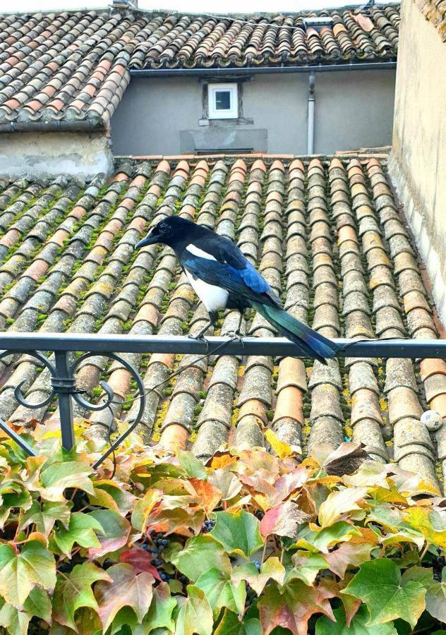 Maison De Maitre A Bram # Jacuzzi 외부 사진